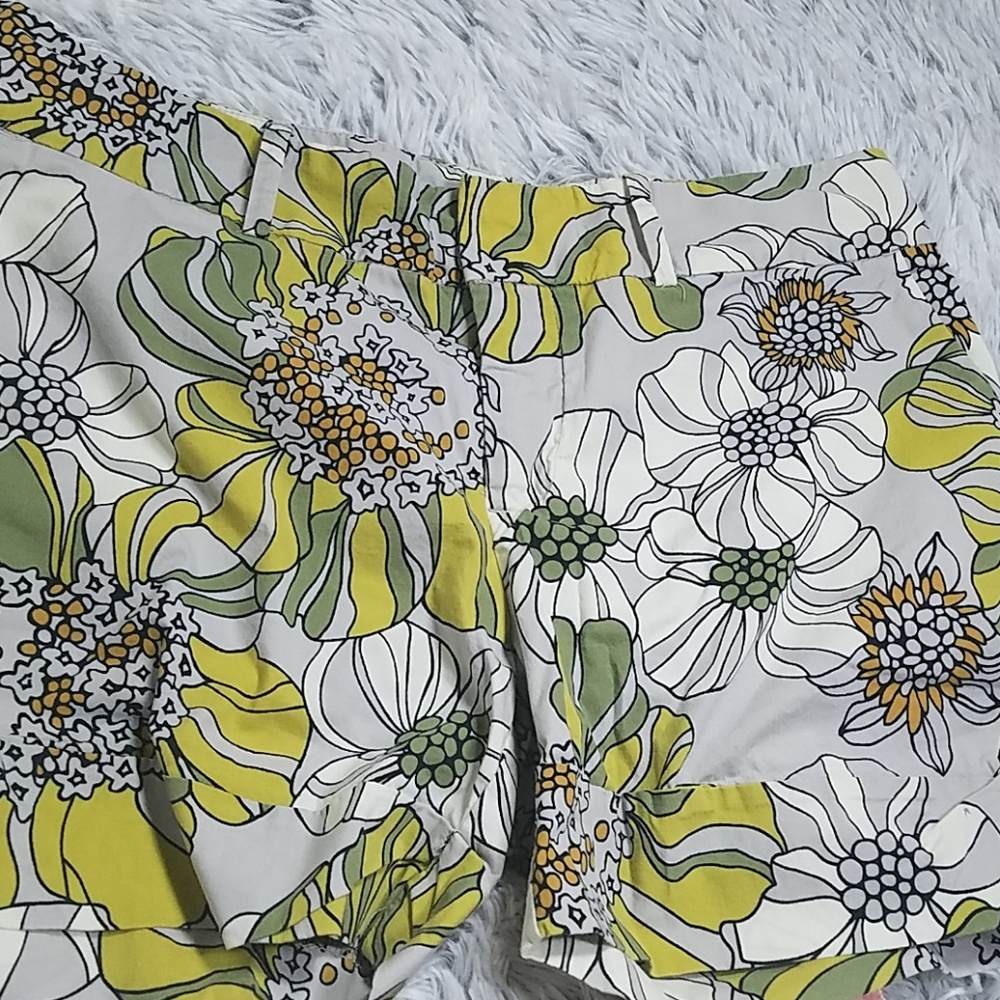 Mossimo Shorts - Picture 2 of 3